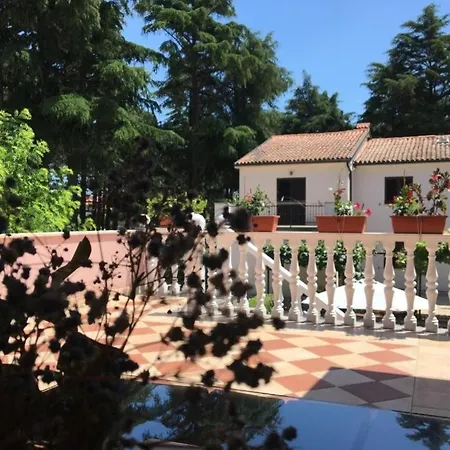 Apartment By The Sea Novigrad - 19130